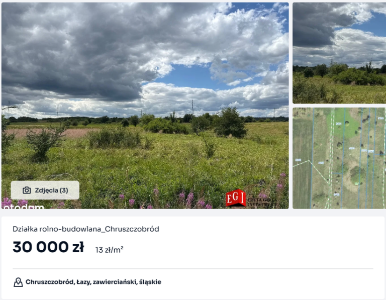 chruszcz_dzia1_dod