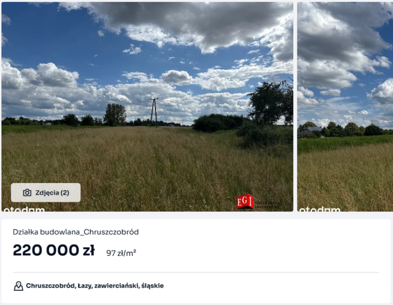 chruszcz_dzia2_dod